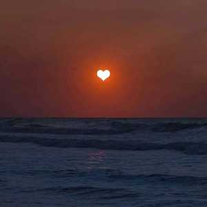 欧美人与拘杂交猛配
