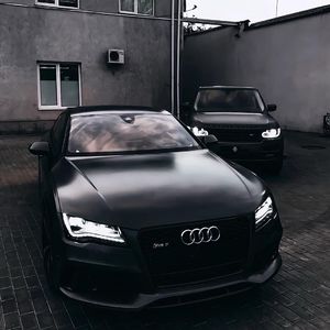 欧美人与拘杂交猛配
